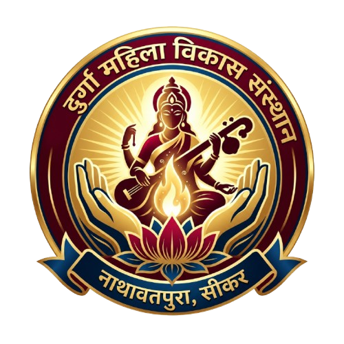 DMVS Logo